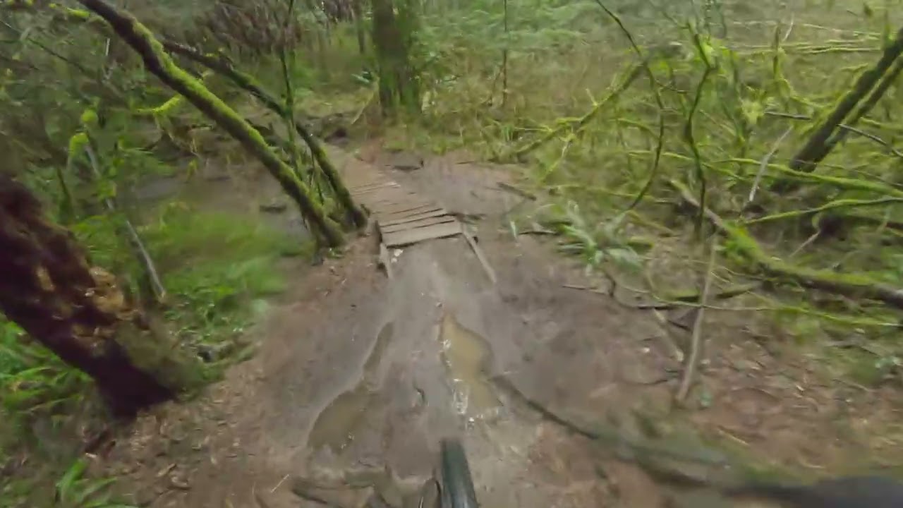 Pingu pangor - classic Seymour mountain run