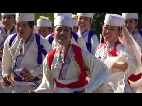 天空しなと屋しん＠2018　湘南よさこい
