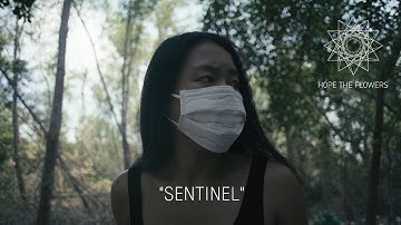 Hope The Flowers - Sentinel (Official Video)