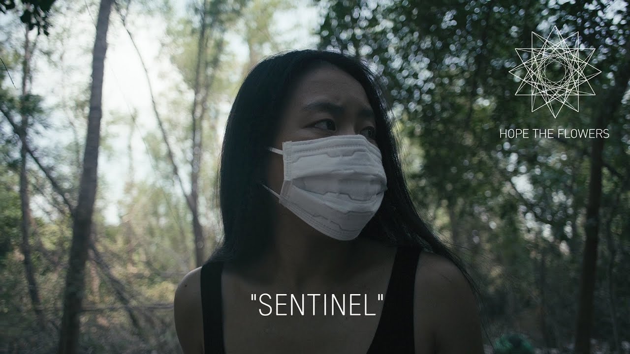 Watch Hope The Flowers - Sentinel (Official Video) on YouTube Watch Hope The Flowers - Sentinel (Official Video) on YouTube