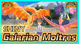 Galarian Moltres (Shiny vs Normal) | Legendary Pokemon | Comparison (Side by Side)