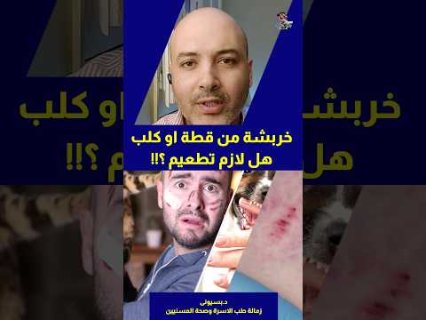 خربشة القطط خطر كبير لا تستهينوا به اهلا يا دكتور الوقاية من السعار استشارة طبية هاطمنك