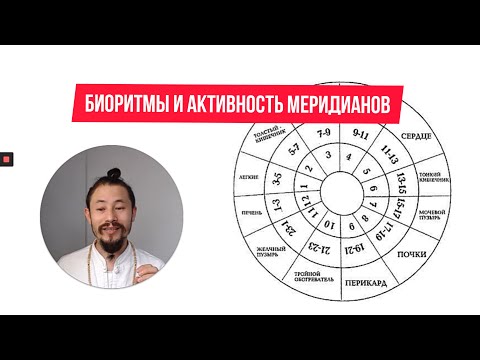 Меридианы китайская медицина. Активность меридианов и биоритмы.