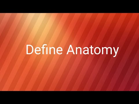 Wideo: Co rozumiesz przez anatomię kranza?