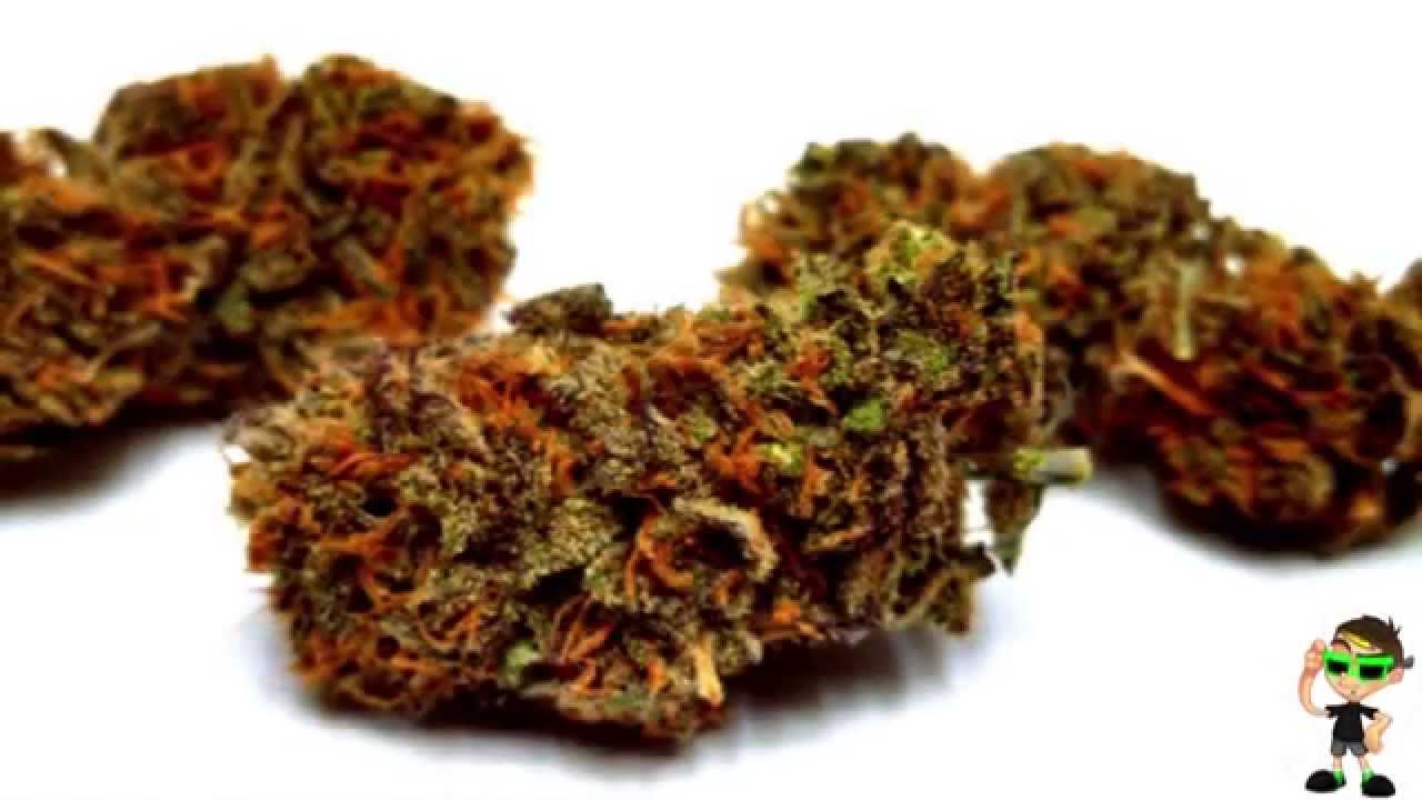 Blue Dream Weed Strain Review | Stoned Age Gamer