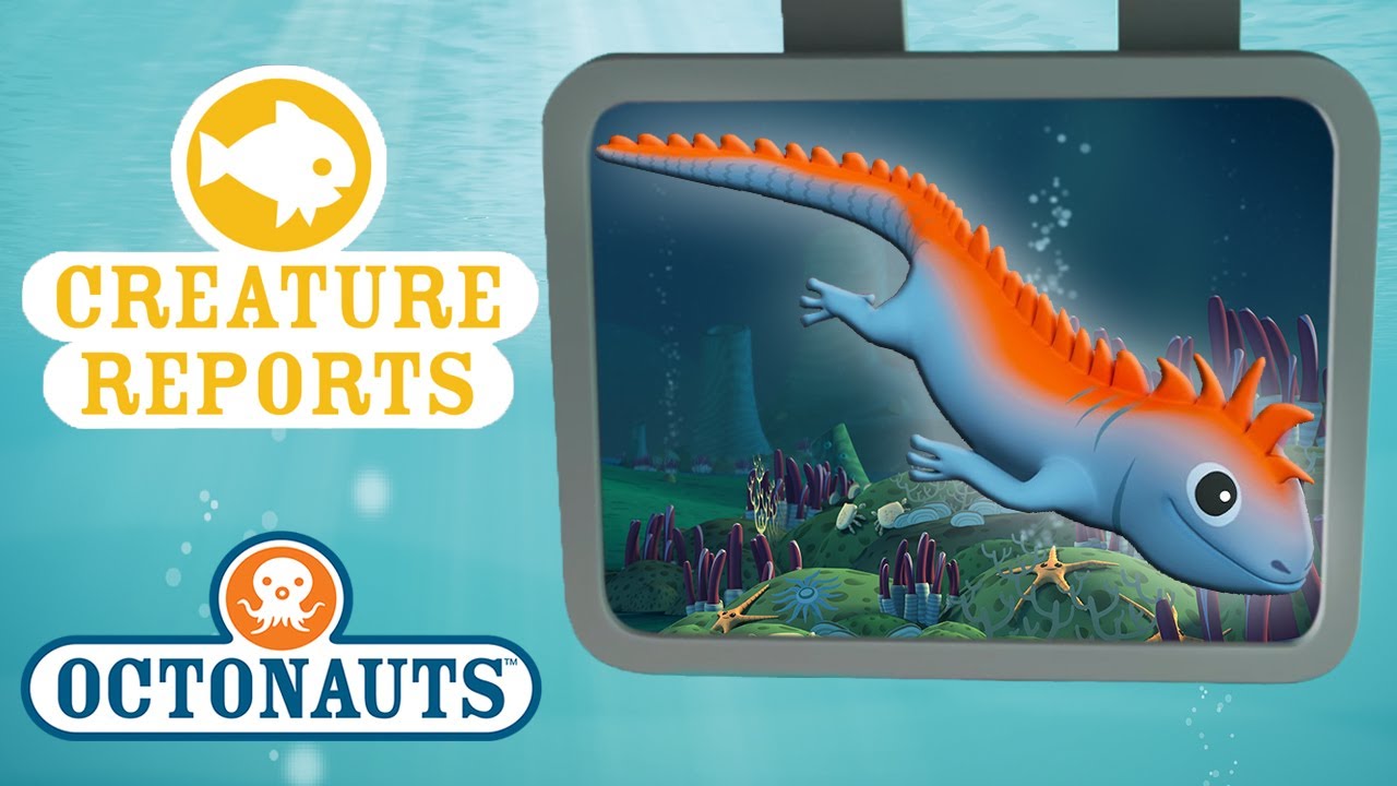 Octonauts Giant Squid Creature Report