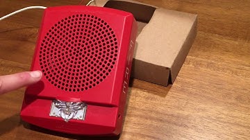 New Wheelock LSPSTR Unboxing and Demo