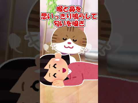 【2ch】私と２人きりになると『親猫モード』になるウチの猫【アニマル】 #Shorts