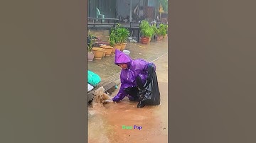 Clogs Culvert Drains On Road #shorts #stormwaterdrain #drain #satisfying #street #remove