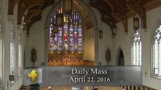 Daily mass, friday 22 april 2016