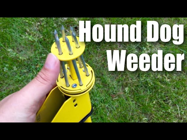 Hound Dog Hdp34 Weed Hound Elite Stand Up Weeder Weeding Tool By The Ames  Companies - Youtube