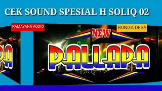 CEK SOUND NEW PALLAPA SOLIQ IRWANSYAH RA'IB BUNGA DESA