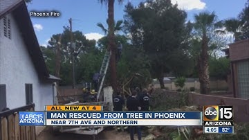 Off-duty firefighter credited with saving trapped tree trimmer