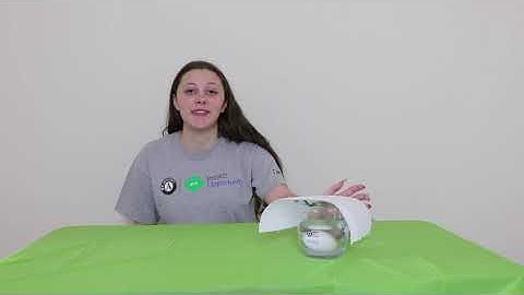 Egg Shell Activity Video