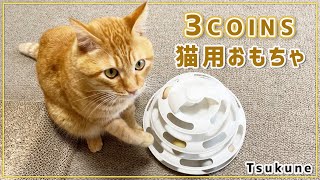 【3COINS】猫用おもちゃでワイルドに遊ぶ猫つくね【3歳】