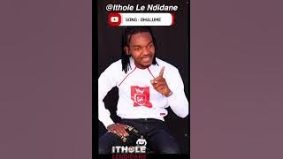 WOBABHEKA MSHANA - ITHOLE LENDIDANE