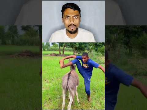 এটা গাধা নাকি বলদ? | Bangla Funny Video  (Meme Review) | নাজমুল মামা