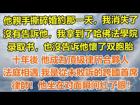 （完結爽文）他親手撕碎婚約那一天，我消失了，沒有告訴他我拿到了哈佛法學院录取书，也沒告诉我懷了双胞胎。十年後 他成為頂級律所合夥人，法庭相遇，我是從未敗訴的跨國首席律師！他坐在对面瞬间红了眼#情感生活