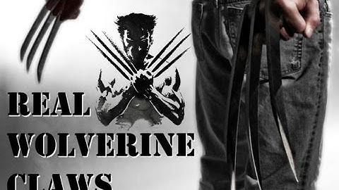 Make it Real: The Wolverine
