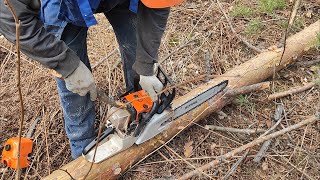 :        Stihl MS 361