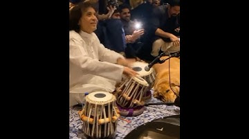 Ustad Zakir Hussain New Tabla Video #shorts