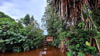 MEMBUAT SHELTER BAMBU SEDERHANA DI ATAS SUNGAI KECIL, MENJARING IKAN. (SOLO CAMPING)