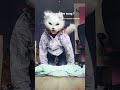 #therian #diycosplay #furry #dance #fursuit #cosplayer #fursuit #cat #theriantheropy #gear #furries