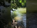 Water River Refreshing Filmed #free #nature #water #insaneruedigerstudios
