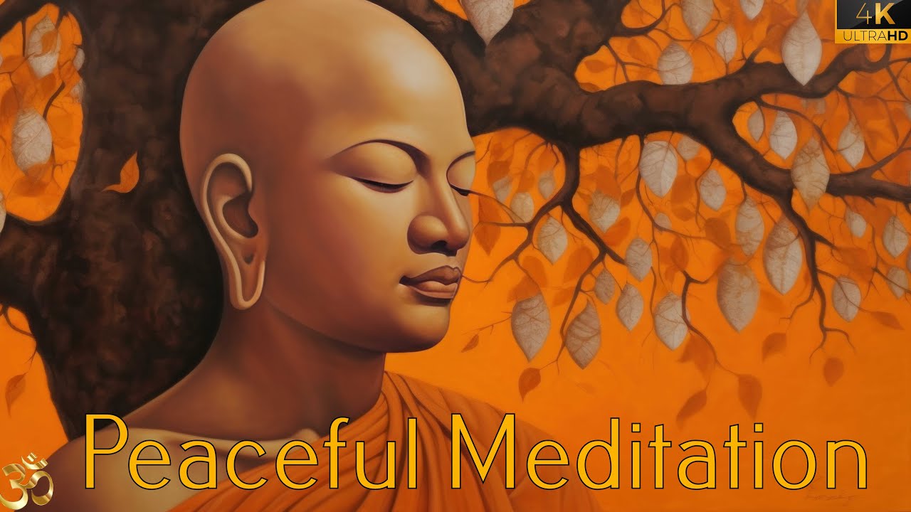 Transform Your Life Now: Uncover the Secret Power of Gratitude in 4K ...