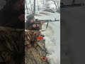A combatente curda que enfrentou turcos e o Estado Islâmico