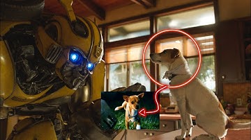 Transformers Small Details That you missed.