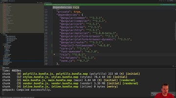 install Angular2 Material Design - hammerjs