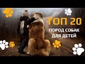 Топ-20 пород собак для детей