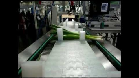 Sroka Spring Onion Binding