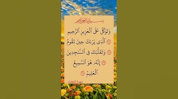 آيات من الذكر الحكيم