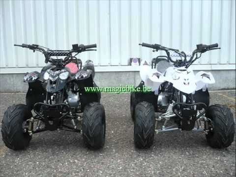 quad polaris replica 110cc