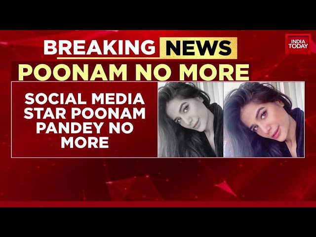 Poonam Pandey Passes Away At 32 Of Cervical Cancer 89 Social Media Star Poonam Pandey Succums To Cervical Cancer, Dies At The Age Of 32 -