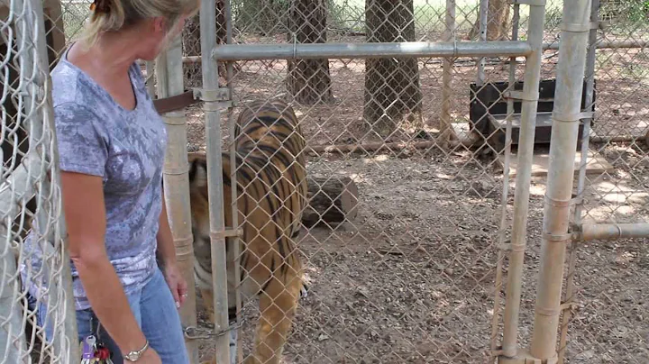 Terri Werner at Tiger Creek Sanctuary