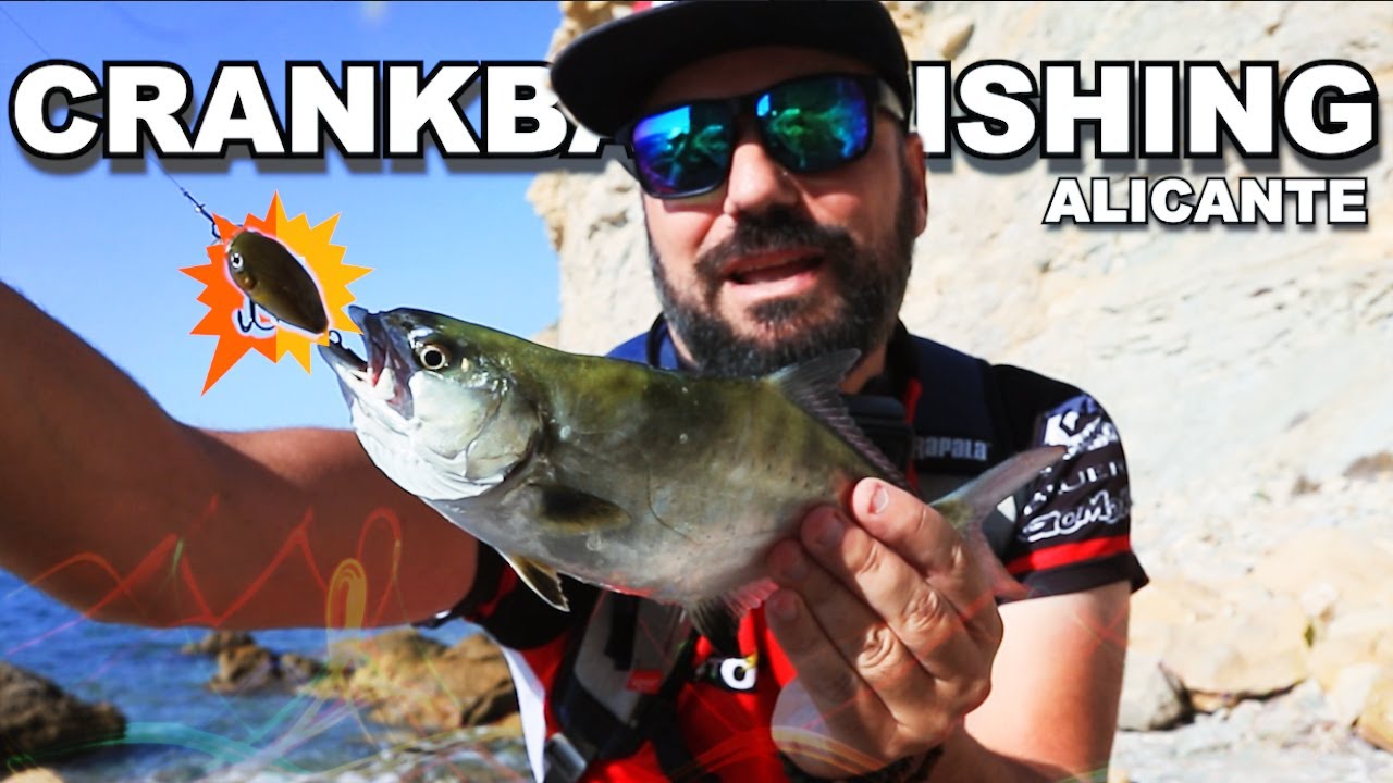 BRUTAL JORNADA a CRANKBAIT!! Saltwater Cranking en el Mediterráneo