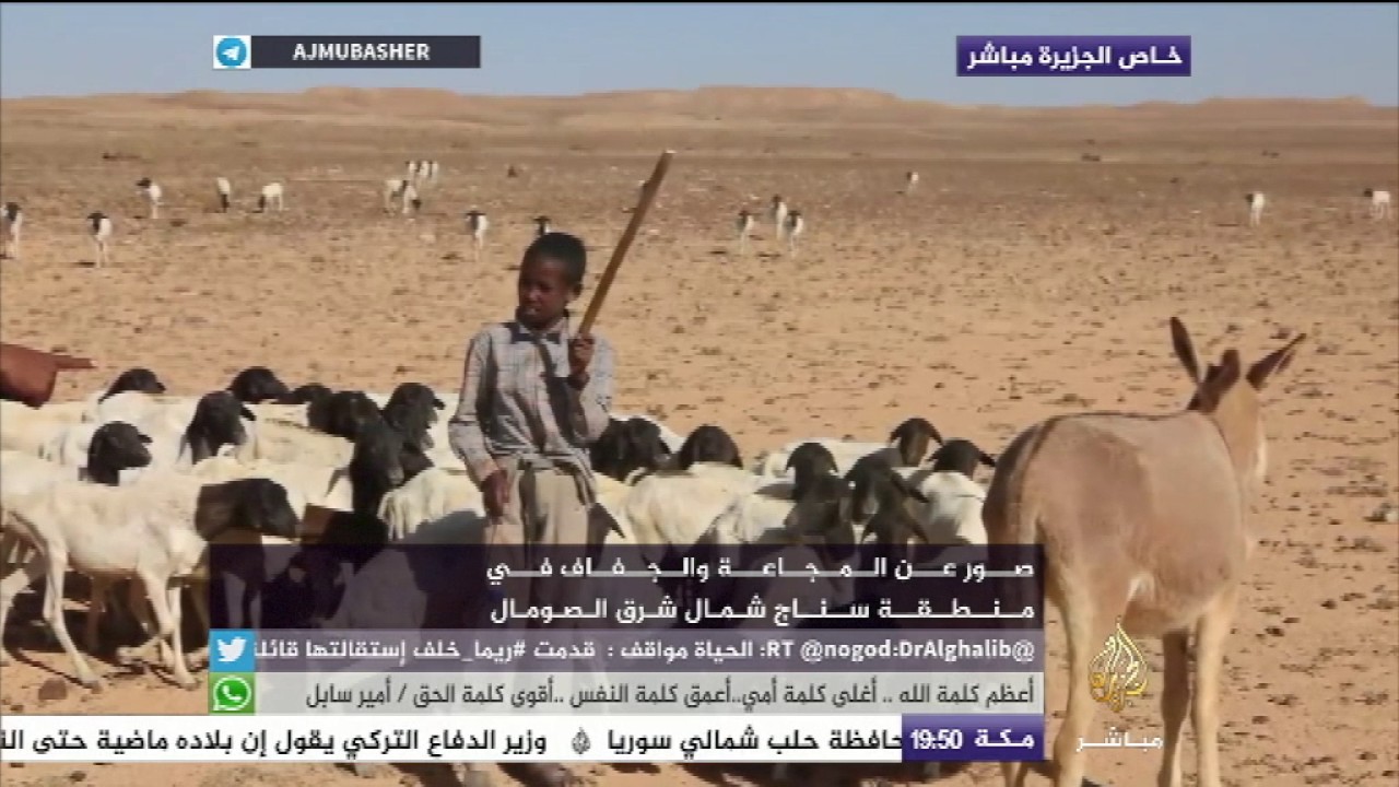 صور عن المجاعة والجفاف في منطقة "سناج" شمال شرق الصومال