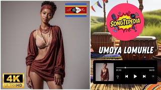 Umoya Lomuhle by SongTepedia [No Copyright Music] .mp3