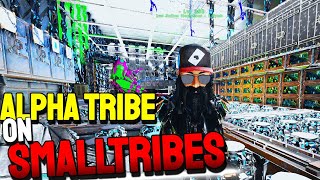 This is what its Like to be Alpha in 2023 on SMALLTRIBES! ARK OFFICIAL SMALLTRIBES