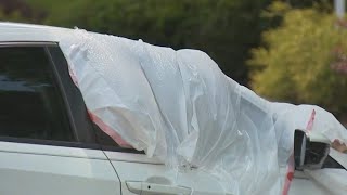 Group breaks into over 130 cars at Georgia apartments