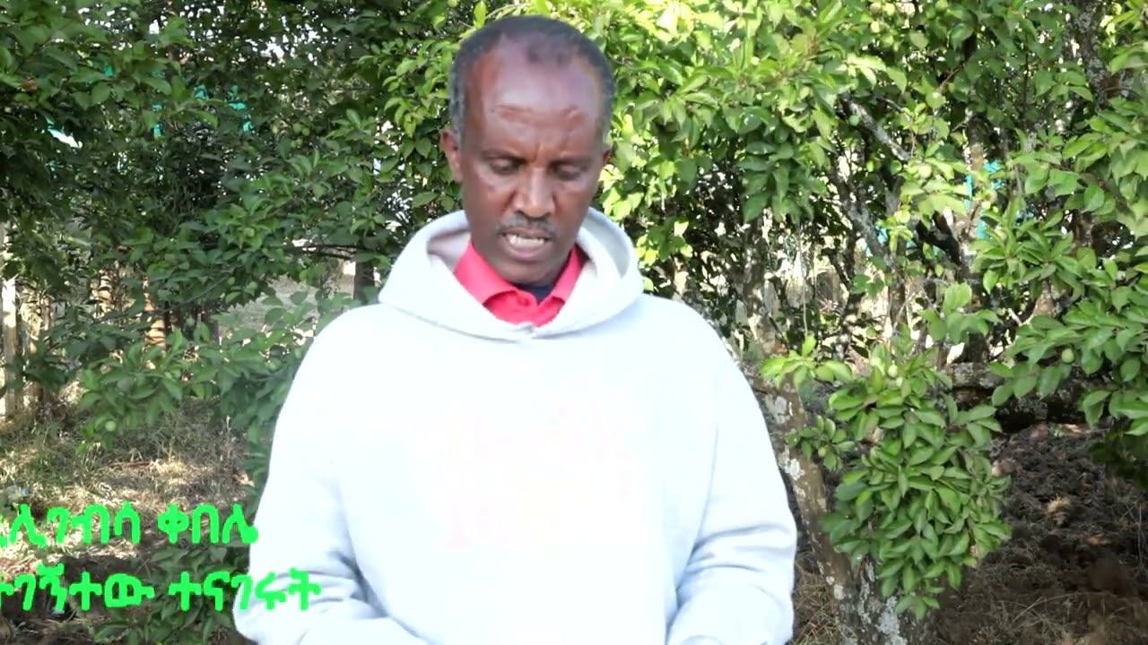 አቶ ይርጋ ግደይ በደባርቅ ወረዳ በሚሊገብሳ ቀበሌ በሞዴል መንደር ምረቃ መርሃ ግብር ተገኝተው ተናገሩት