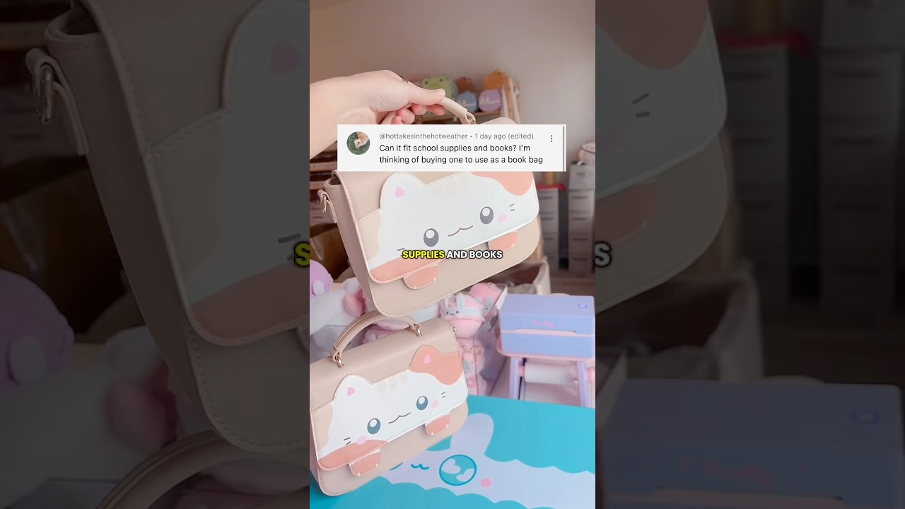 Can you use the cat purse for SCHOOL?? 👀🐈 