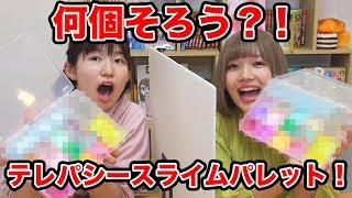 【SLIME】スライム何個一致する？テレパシースライムパレットチャレンジやってみた！Twin Telepathy Slime Palette Challenge