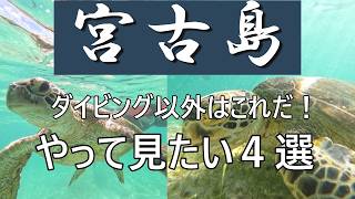[Miyako Island] 4 Recommended Activities and Experiences! #Sea Turtle Snorkeling Tour #17END #Sta...