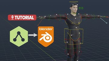 How to rig a character in AccuRig and add Rigify controls in Blender 4.2 | Tutorial #Rigging