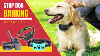 Best Dog Shock Collar For Barking  Stop Barking Efficiently & Quickly