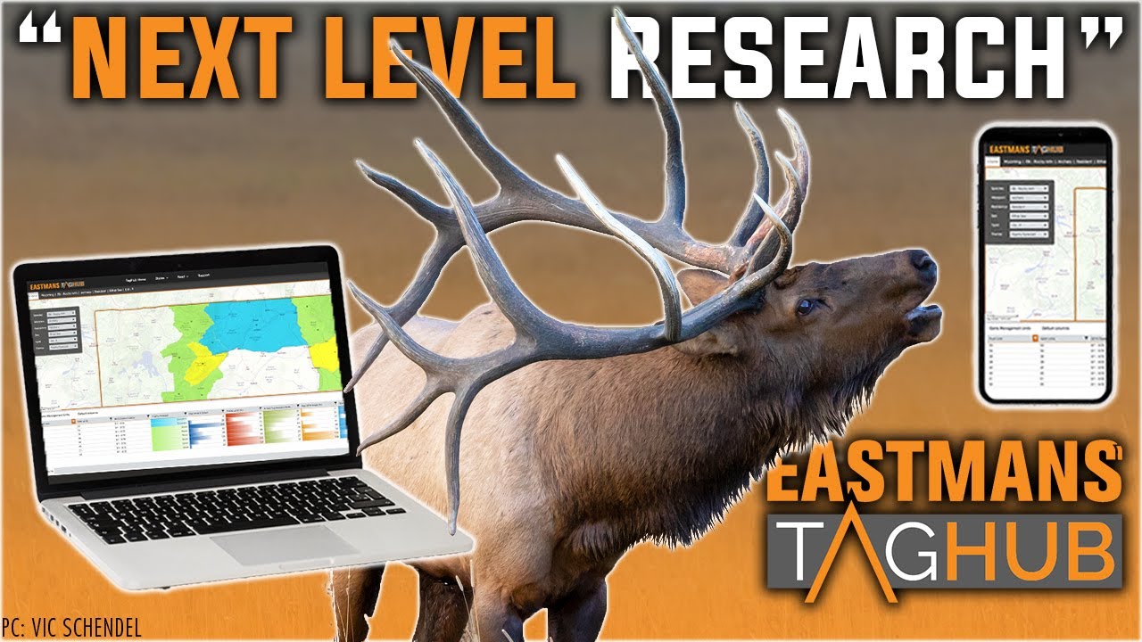 Your Hunt Starts Here! Eastmans' TagHub Hunting Research (How to) YouTube